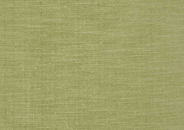 Tussah, Sage - Fabric Only - Image 3